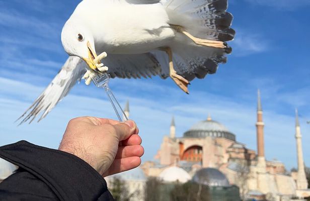 Multi 2 Days Private Guided Istanbul Iconic Landmarks City Tour
