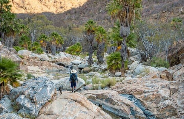 Hidden Gems of Sierra Laguna: El Triunfo and Natural Springs.