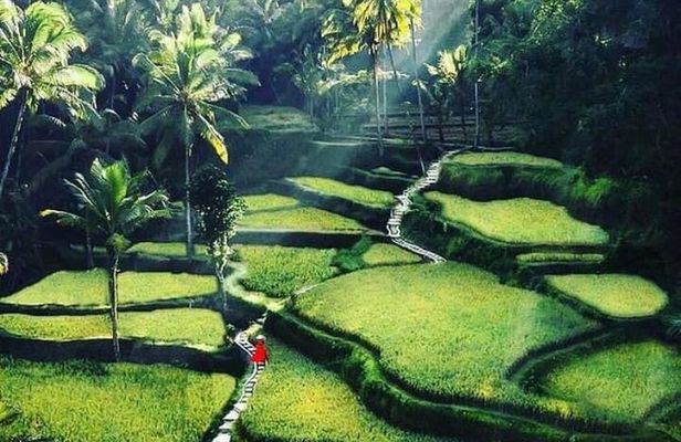 Private Customized Tour with Local Guide