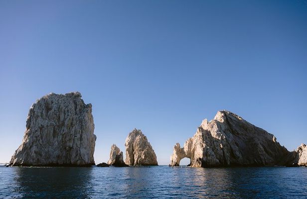 Educational Sunrise Whale Watching with Photos Included