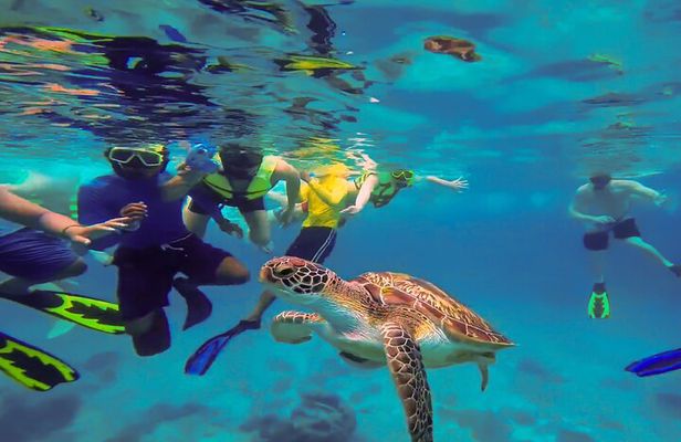 Swim with Turtles at Turtle Bay, Curacao: Boat, Blue Room Cave
