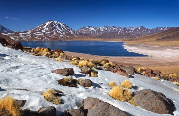1-Day Tour Altiplanic Lagoons and Piedras Rojas and Laguna Chaxa