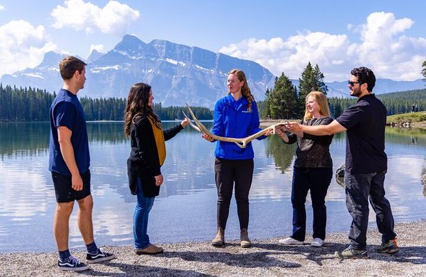 Year Round Tour: Banff and its Wildlife