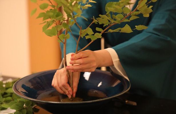 Group charter Japanese Traditional Flower Arrangement in Tokyo