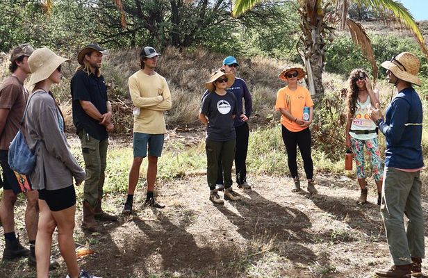 Work with Native Reforestation and Polynesian Agriculture in Maui