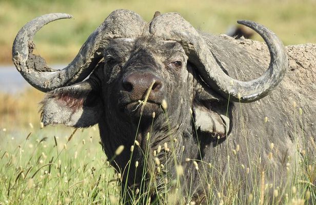 4 Day Private Tour in Tanzania