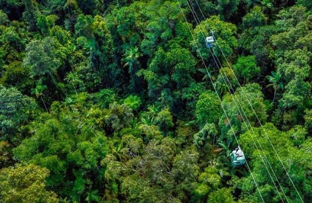 Small Group Waterfall Wetlands+ Skyrail All Inclusive from Cairns
