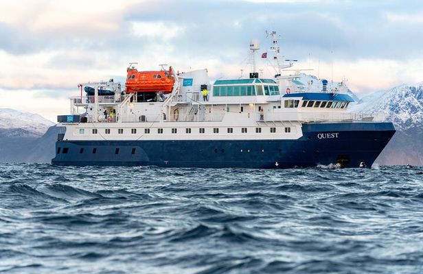 24hr Northern Lights & Whale Watching Cruise