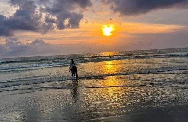 Seminyak Horse back riding In the beach