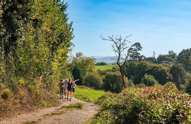 Taste of the Camino de Santiago
