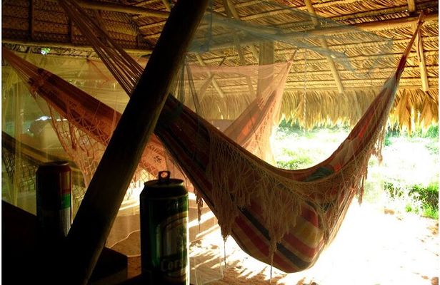 Camping and Cooking Classes in Primary Forest in Luang Prabang