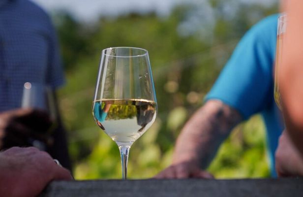 Jersey Premium Vineyard and Distillery Wine Tour and Tasting