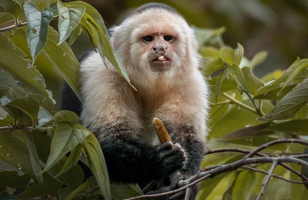 Full Day Nature Experience