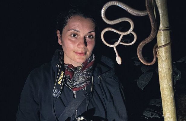 Secret Night Walk in Puerto Jimenez