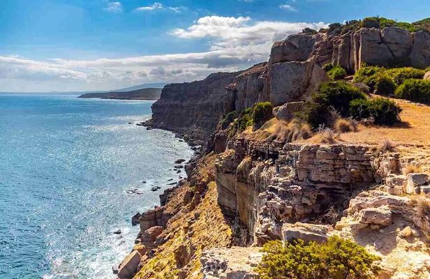 Private Excursion to the Cap Bon Peninsula
