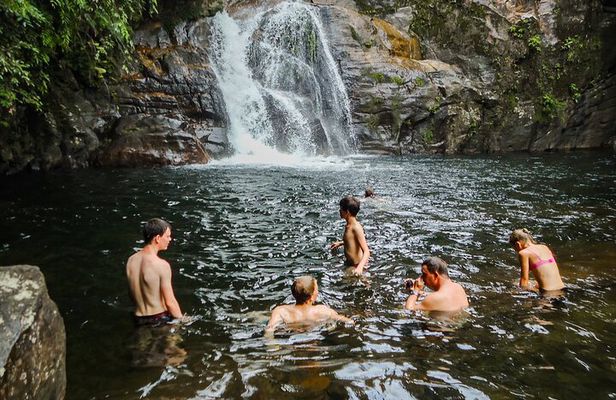 Sinharaja Rainforest Private Half Day Tour with Licensed Guide