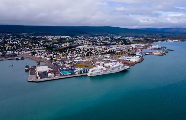 Whale Watching Tour from Akureyri City Central
