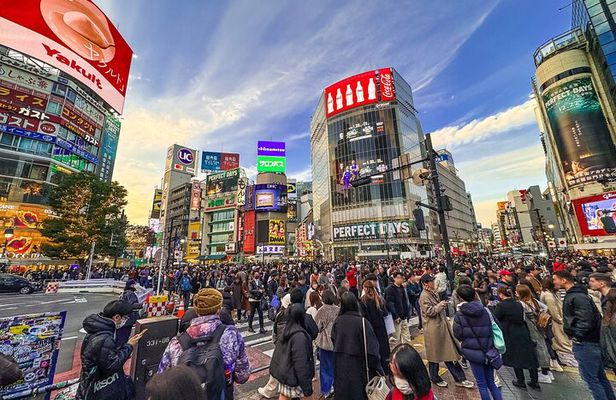 Private Full-day Tokyo Walking Subway Tour by Japan Gray Line