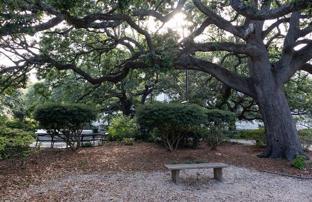 Private Historical Walk in New Orleans French Quarter