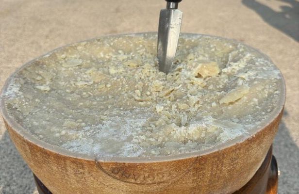 From Bologna: Parmesan Cheese & Balsamic Vinegar Tour+Lunch