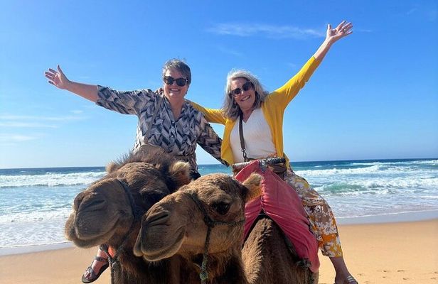 Authentic luxury Private Tour of Tangier all inclusive