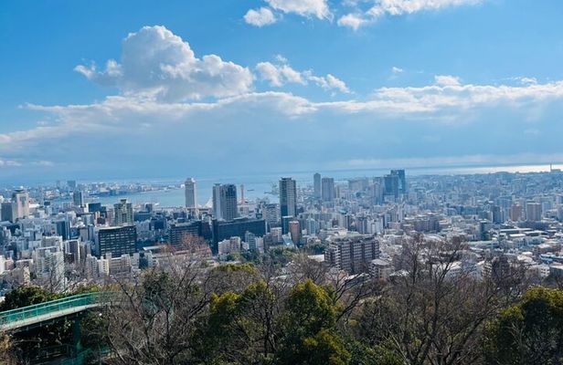 Full Day Walking Tour Around Kobe Mountains Sea and Sake