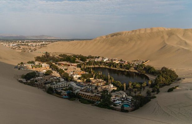 Paracas, Ica and Huacachina Day Trip From Lima | Mini-Galapagos