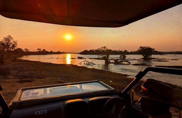 Safari Game Drive 3 Hours in Victoria Falls *D-ES-F