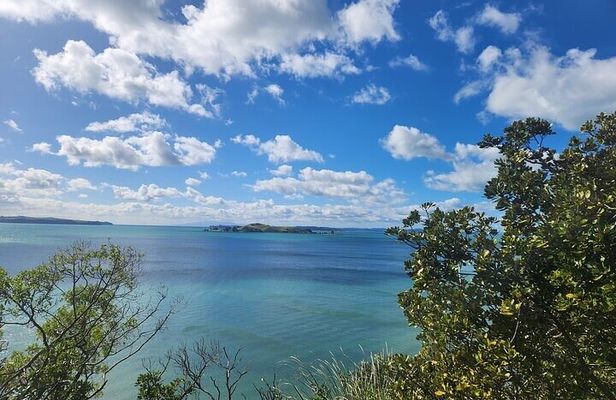 Private Auckland Best Top 5 Spots Half day Tour