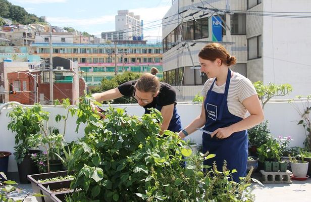 Vegan Friendly Korean Food Cooking Class