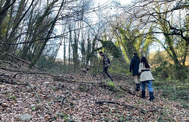 Truffle Hunting in Chianti, pasta class and lunch
