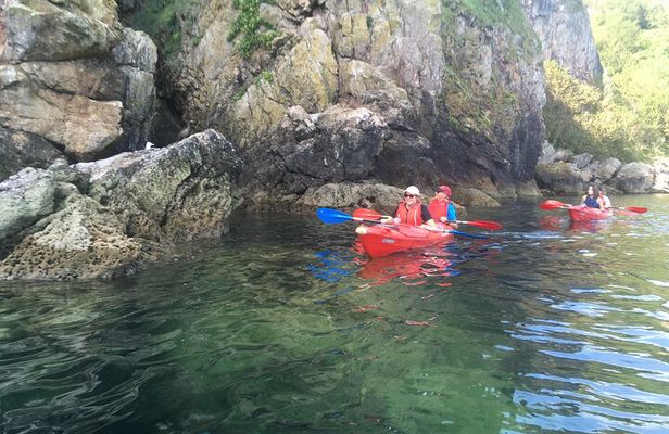 Guided Wildlife and Sea Cave Kayak Safari in English Riviera