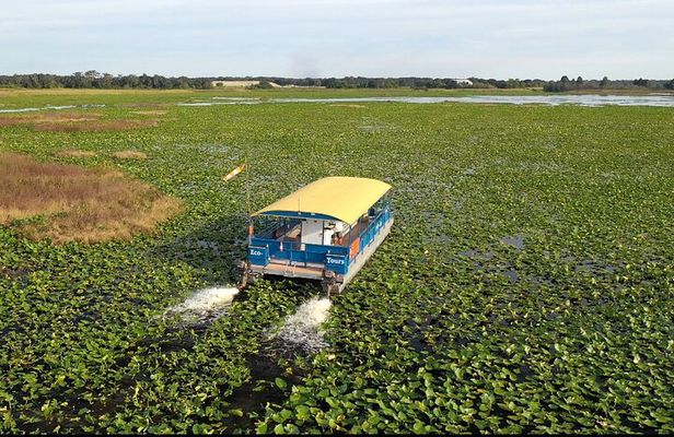 90 Minute Pontoon Cruise in Florida