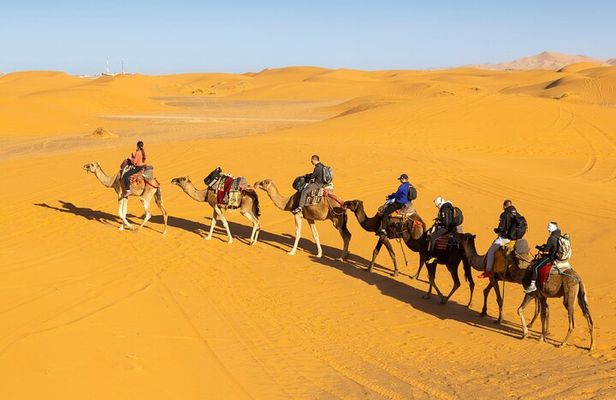 3 Day Journey in a Desert Splendors of Fes to Marrakech