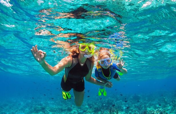 Underwater Sculpture Park Snorkel Adventure 