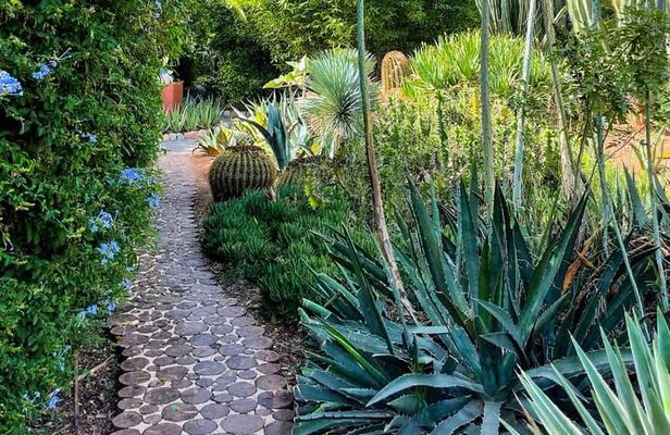 Anima Garden Experience: Tickets And Hassle-Free Transfers