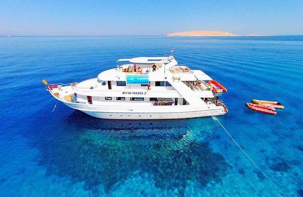 Snorkeling Day Trip To White Island By Boat In Sharm El Sheikh