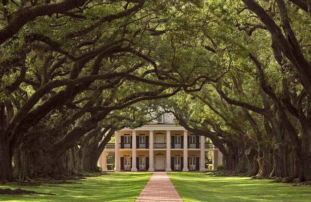 Full Day Plantation -N- Swamp Tour in New Orleans