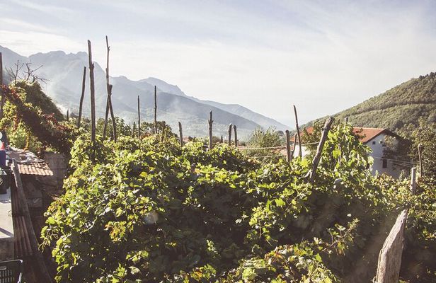 Sunsets Wine Tasting at Tagliafierro Winery