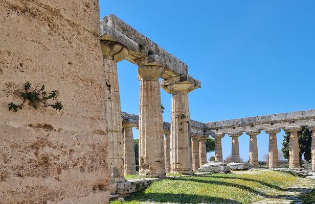 Half Day Private Tour to the Temples of Paestum