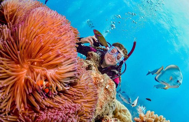 Margaritaville/Jeski Tour or Snorkeling in Montego Bay