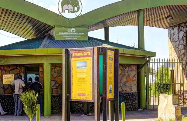 Overnight Amboseli National Park Safari from Nairobi