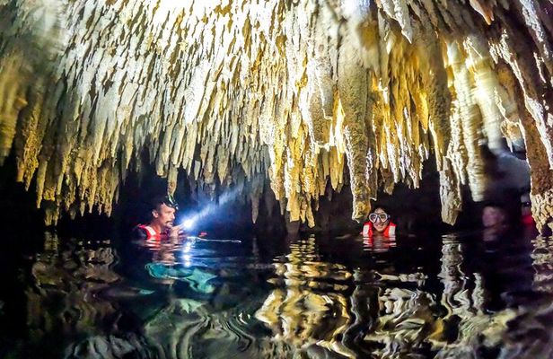 Cenote Cavern Tour and Swim with Sea Turtles in Akumal