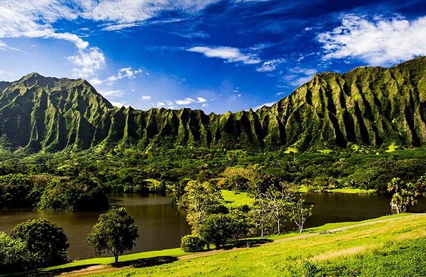 Oahu East Coast to Mountain Slingshot Tour