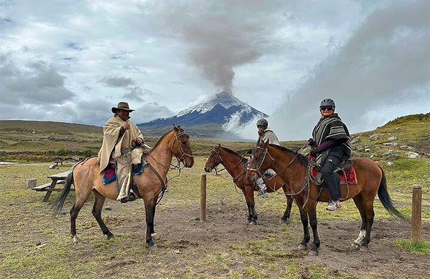 Cotopaxi National Park Horse Ride Full-Day Experience from Quito