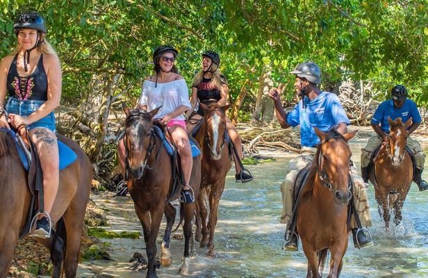 Horseback Riding City Tour + Rum and Chocolate Factory
