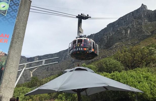 Table Mountain, Penguins and Cape Point Sharing GroupTour