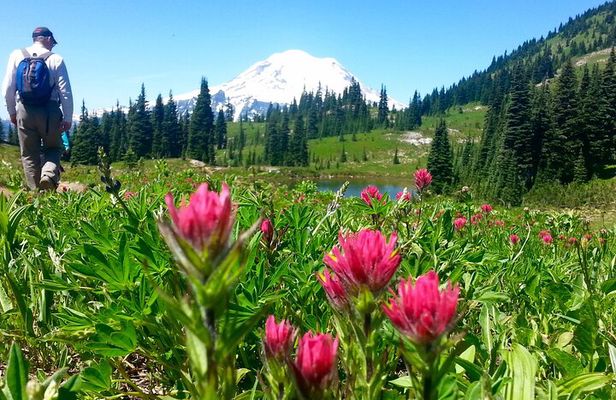 2 Day Mt Rainier All-Inclusive Small Group Tour
