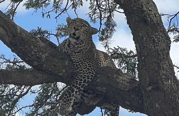 5 Day - Quadruple Package Zimbabwe, Zambia, Botswana & Namibia 