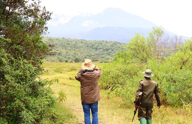 1 Day Arusha national park (Game drive and walking safari).